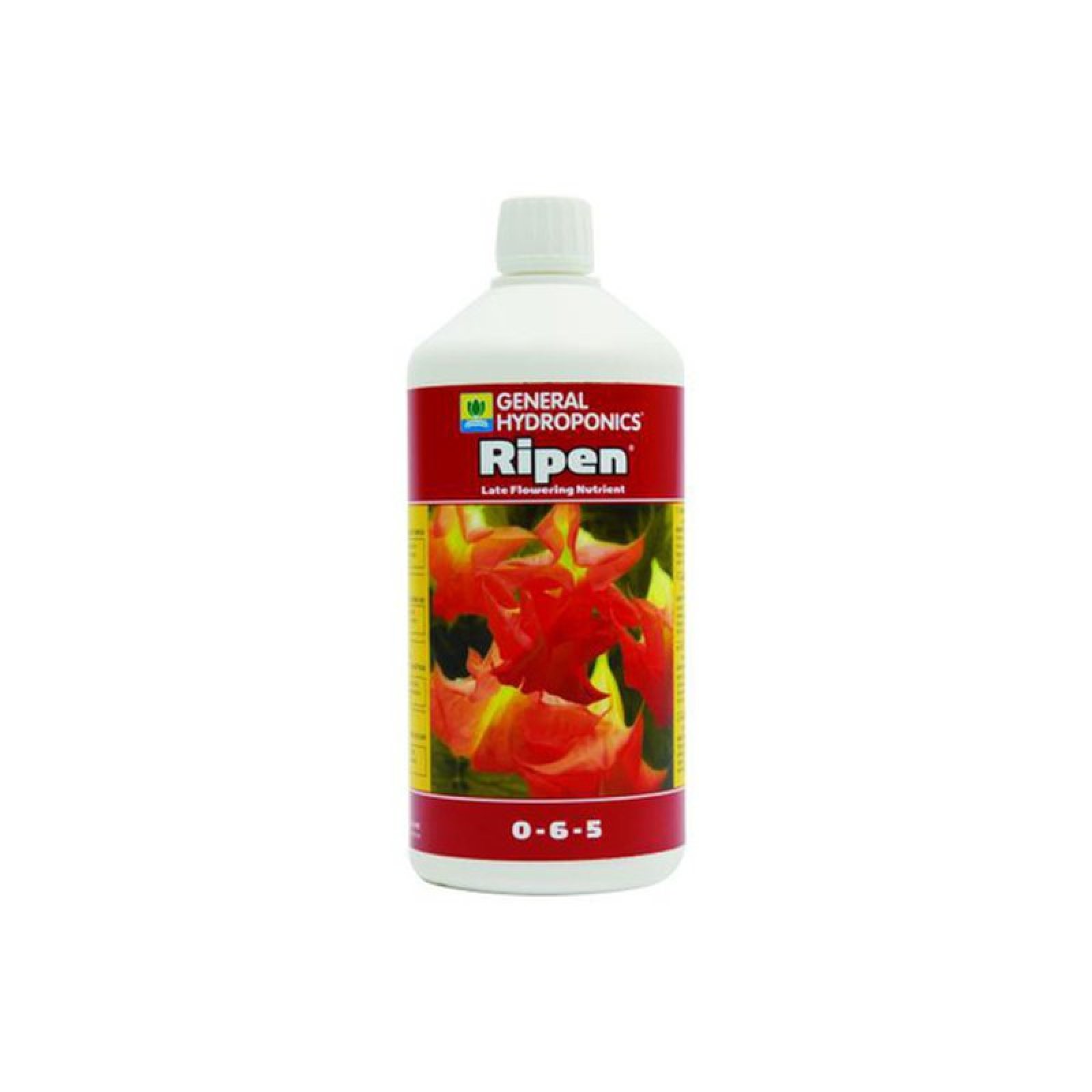 melasse dünger kaufen Bio-Flüssigdünger für kräftiges Pflanzenwachstum 💚 – keep it grün